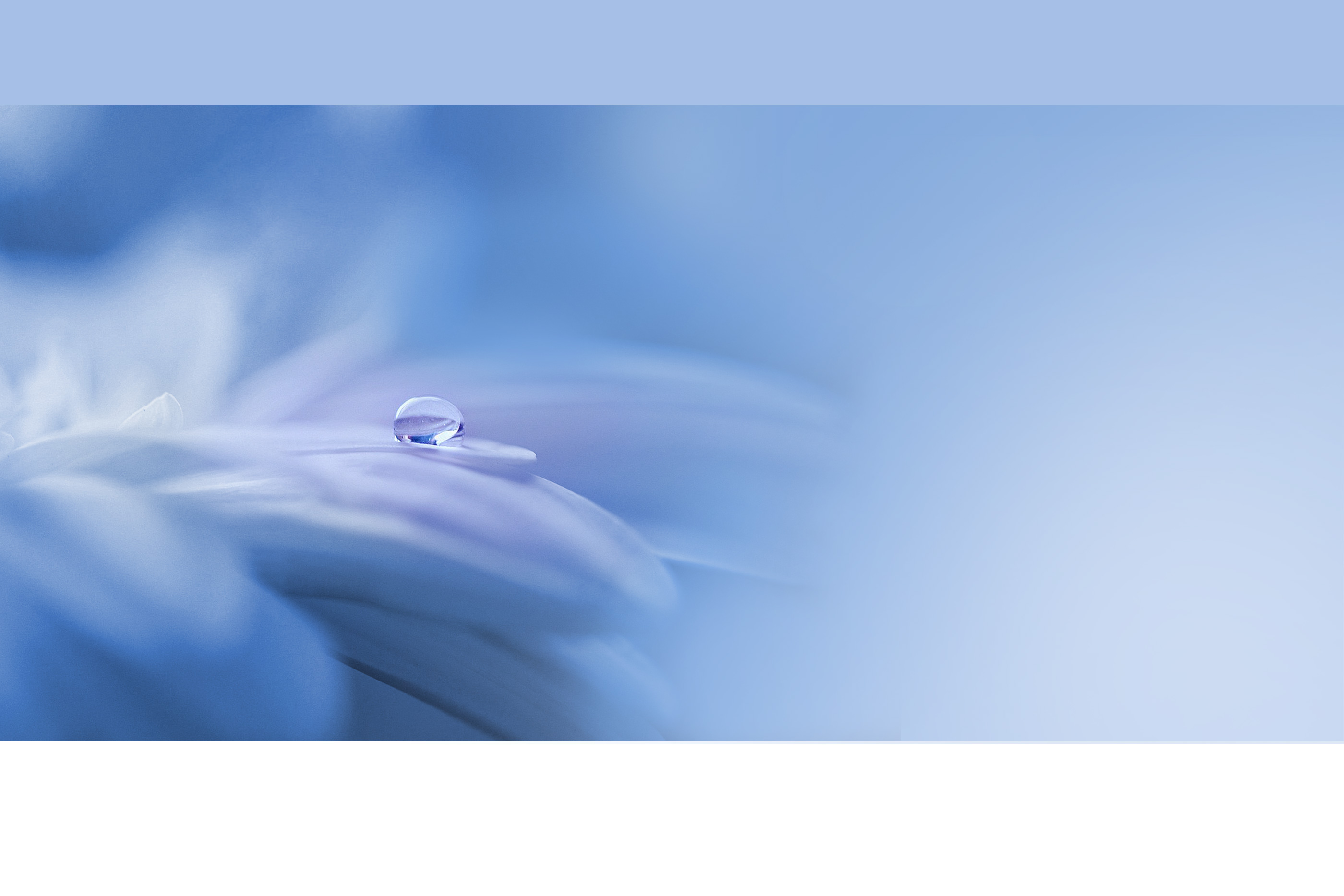 SMC PCA-1557633